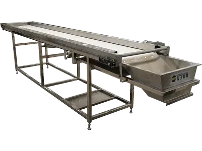 Conveyors for Food Processing