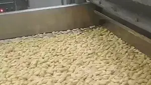 Seasoned Nut Production Line