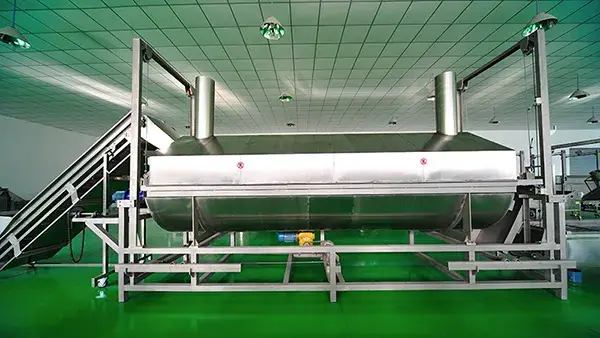 Nuts Frying Machine (Continuous Deep Fryer)