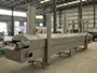 French Fry Fryer (Continuous Fryer)