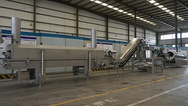 Snack Food Fryer (Continuous Frying Machine)