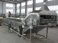 Blanching Machine