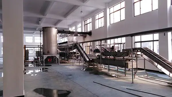 Seasoned Nut Production Line