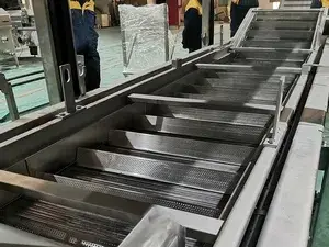 Seasoned Nut Production Line