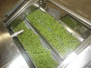 Seasoned Nut Production Line